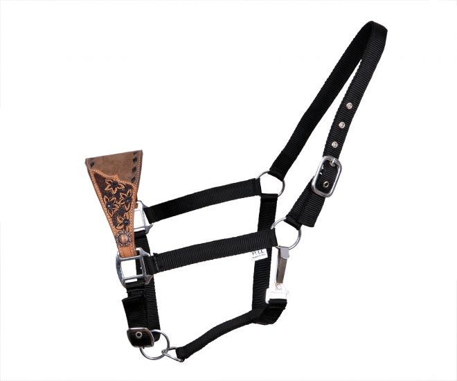 Showman Adjustable nylon bronc halter on medium leather with floral tooling and black buck stitch